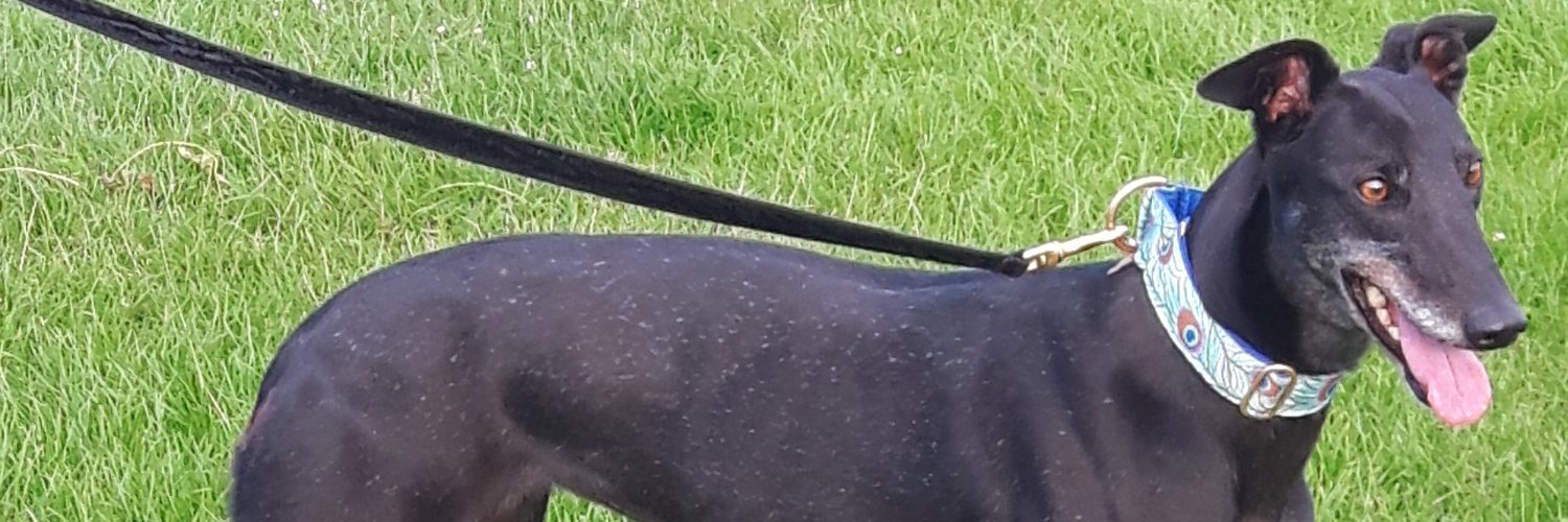 Tinks_5's profile banner image