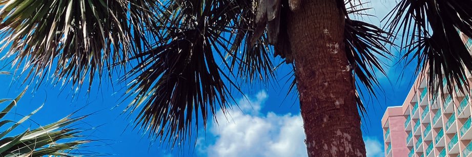 itsrinayoo's profile banner image