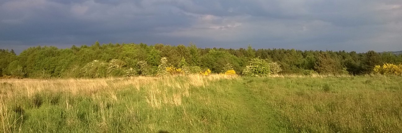 Debbie Coates banner