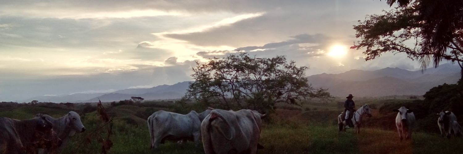 lamramirezso's profile banner image