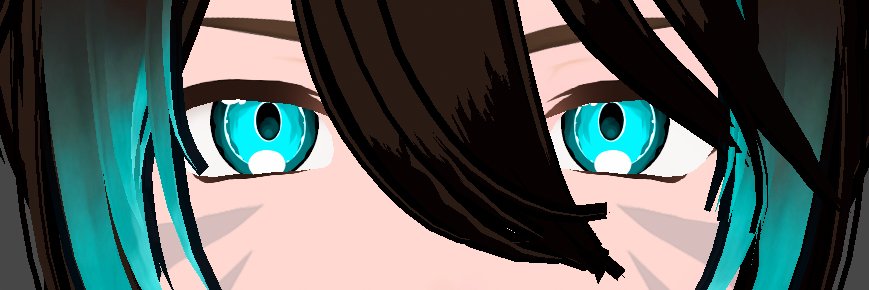 Ryxas banner