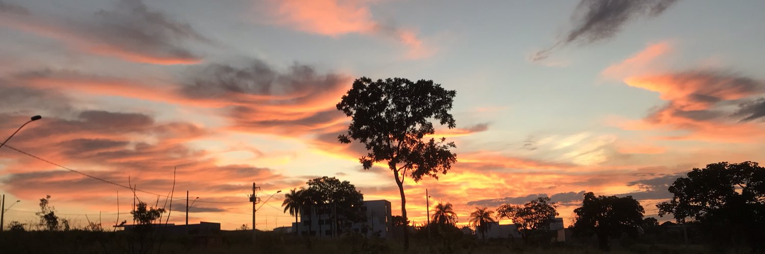 CarolineRocha23's profile banner image