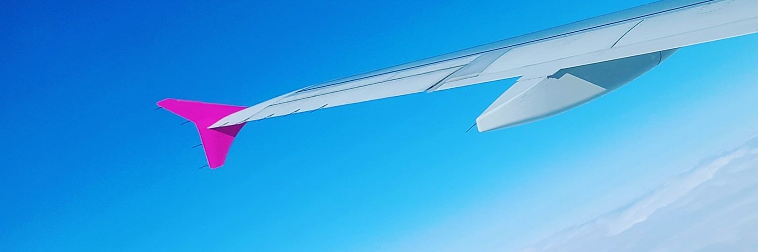 reu_fleche's profile banner image