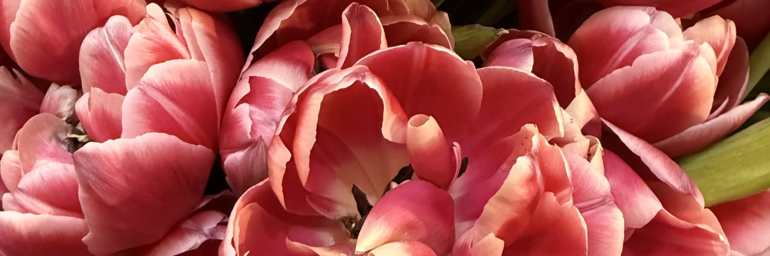 Hey_nirvi's profile banner image