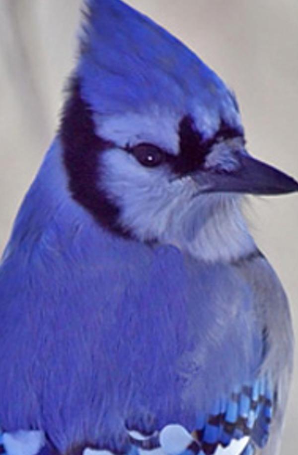 ablyperr's profile banner image