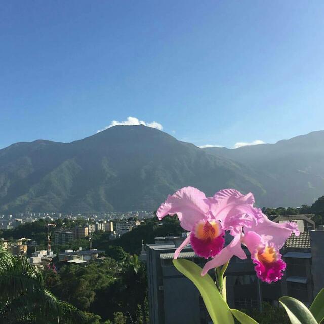 Guatacax's profile banner image