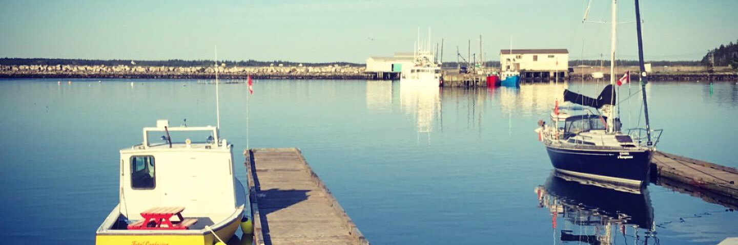 laurasmith155's profile banner image