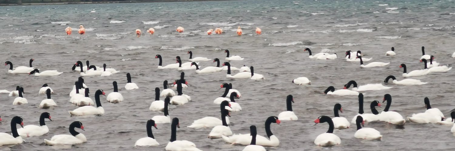 un simple mortal banner