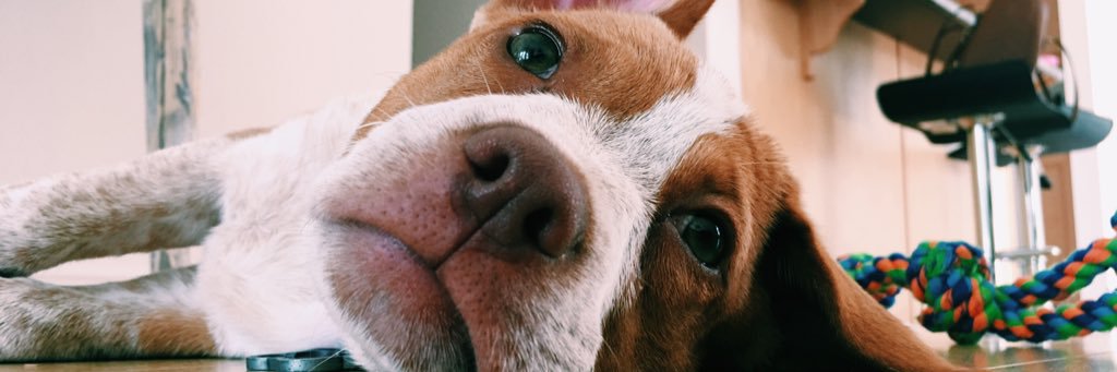 lyssbabin's profile banner image