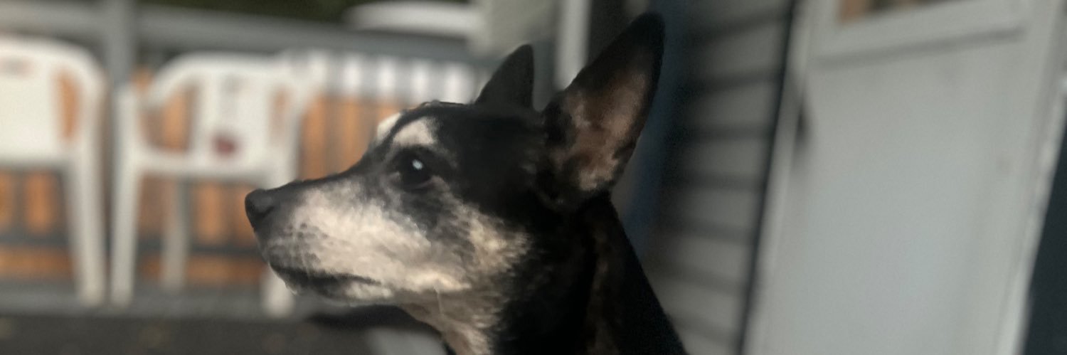 Cubriski's profile banner image