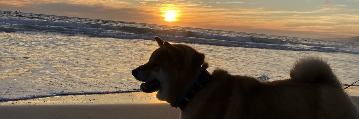rbdecabo's profile banner image
