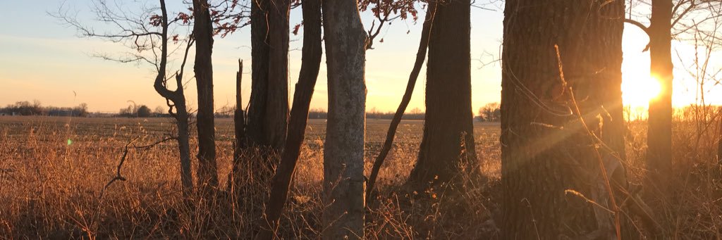 ScottPezent's profile banner image