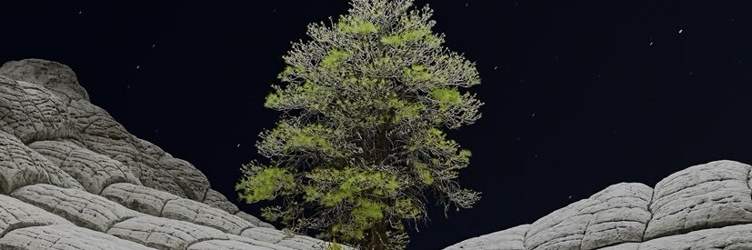 مسلط الفريد ابن طواله banner