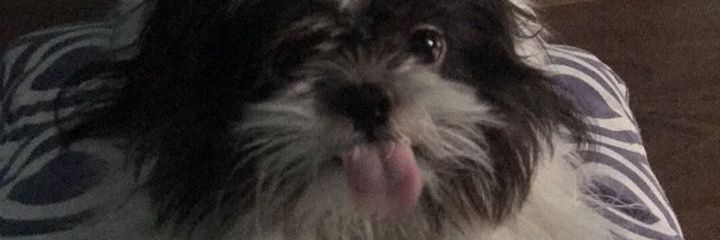 RubenOelk's profile banner image