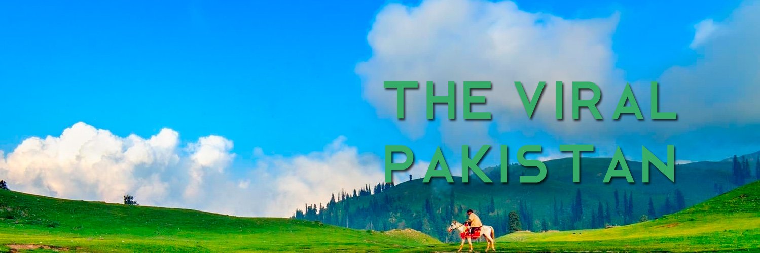 theviralpk's profile banner image