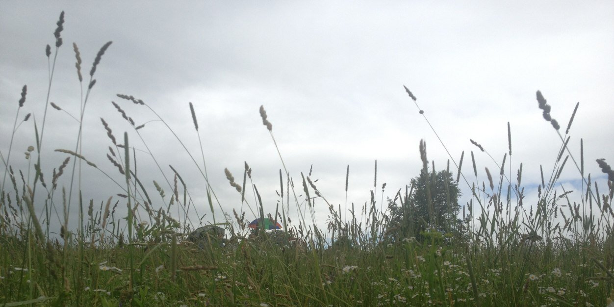 gepers's profile banner image