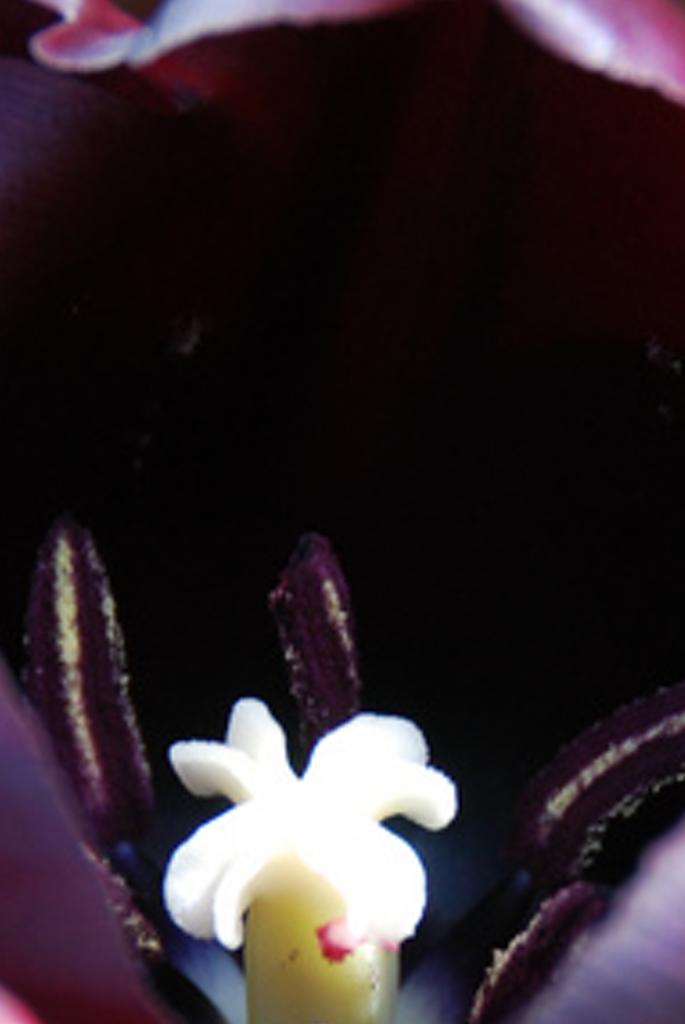 epombamiagh's profile banner image