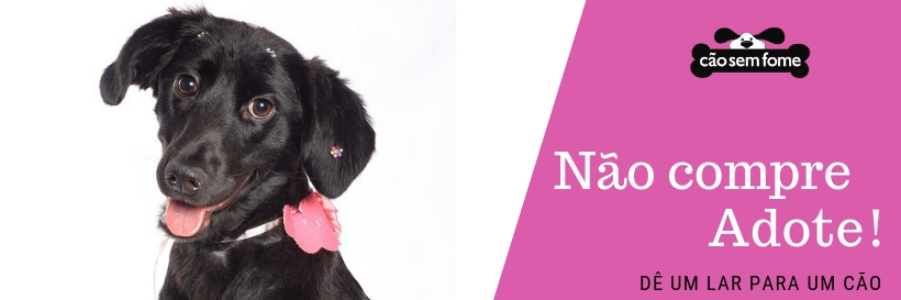 Projeto Cão Sem Fome banner