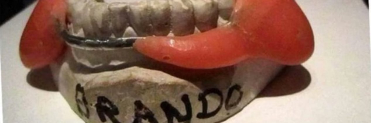 brandoMARLIN's profile banner image