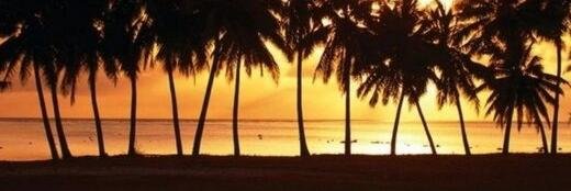 YgorCaampos's profile banner image