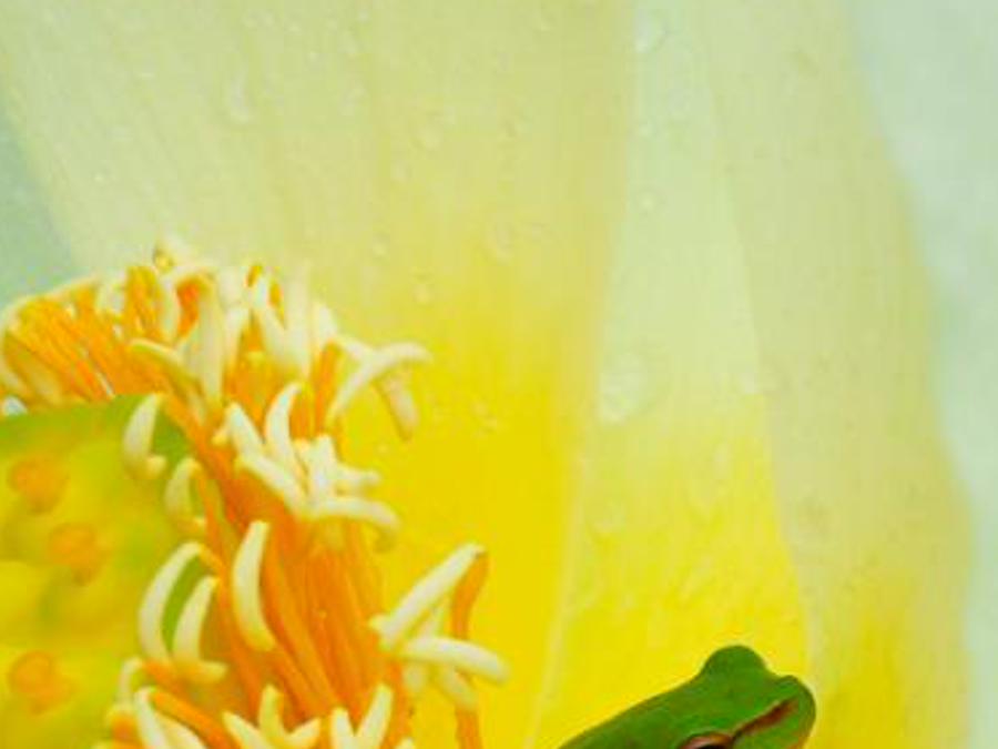 iamosthr's profile banner image