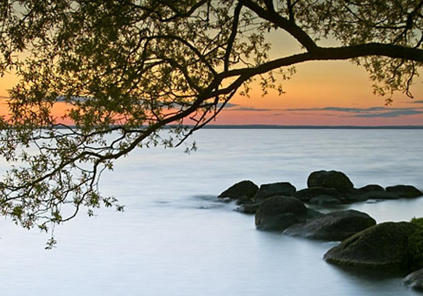 ovadler's profile banner image