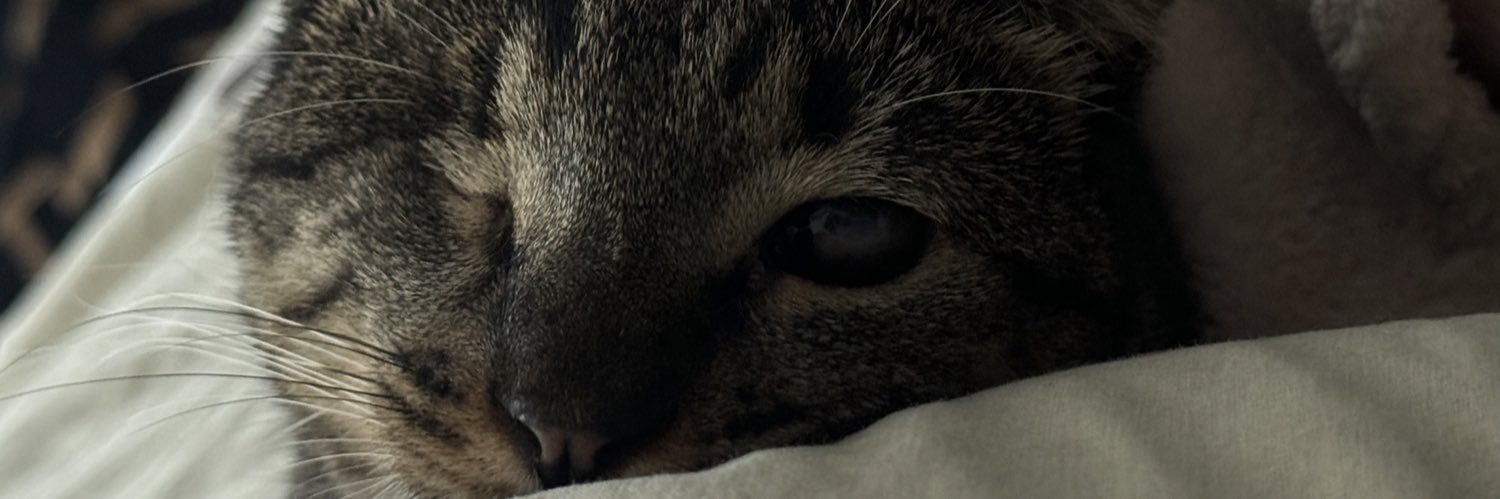 _lorisboriss's profile banner image