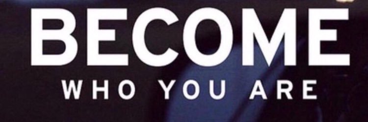 rest_in_easy's profile banner image