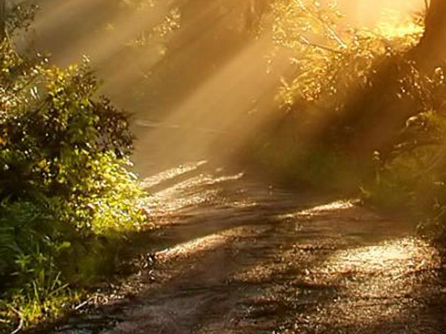 isefoti's profile banner image