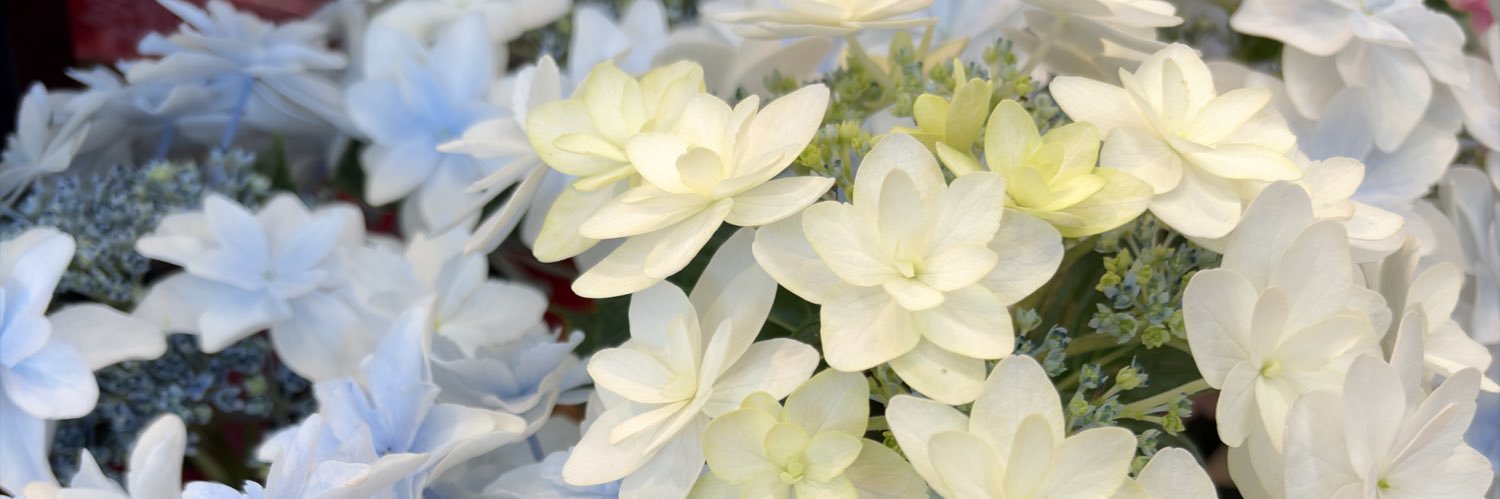 nadu_7's profile banner image