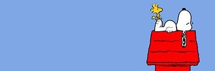 pjsuds34's profile banner image