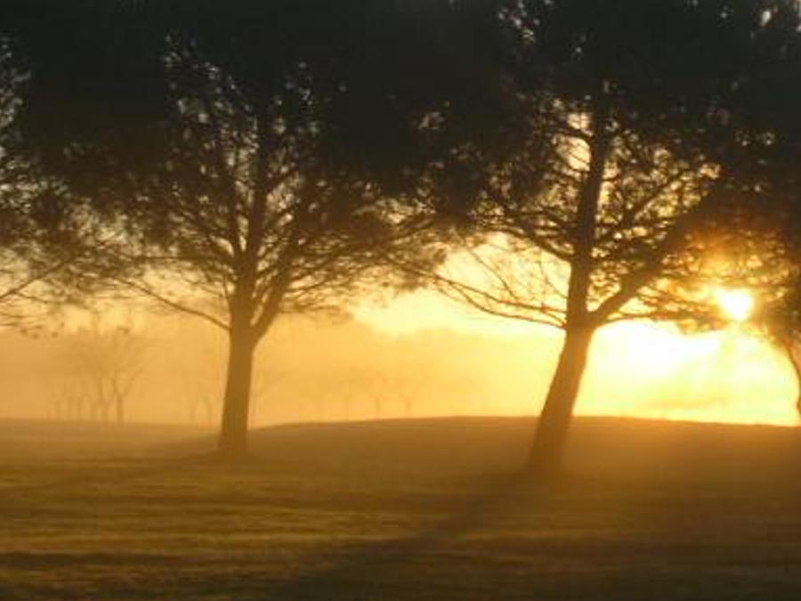 holedenj's profile banner image