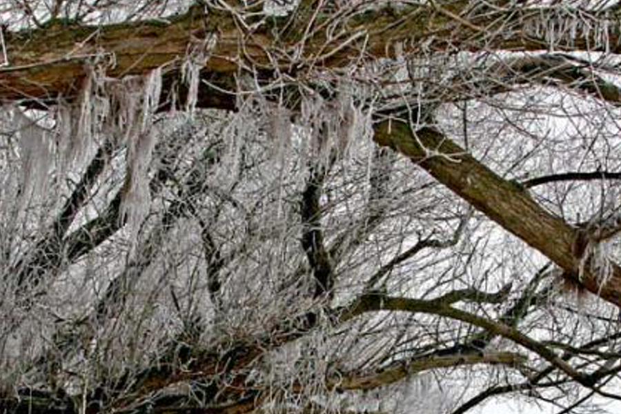 nsiankil's profile banner image