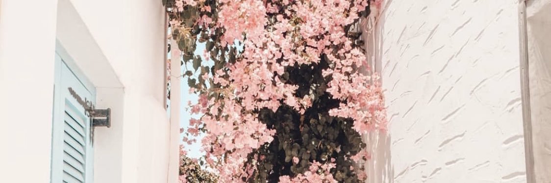 Rebeccalancx's profile banner image