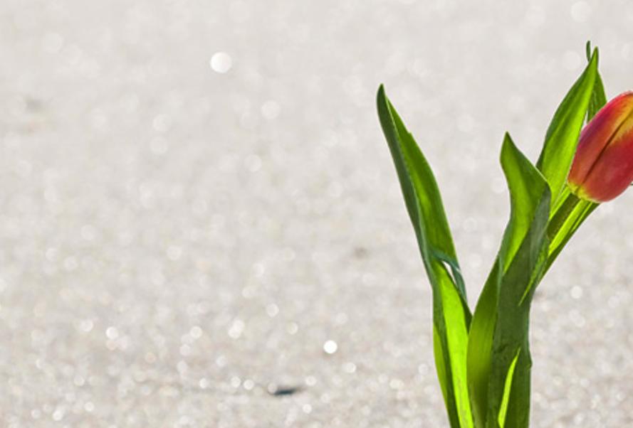 olonaba's profile banner image