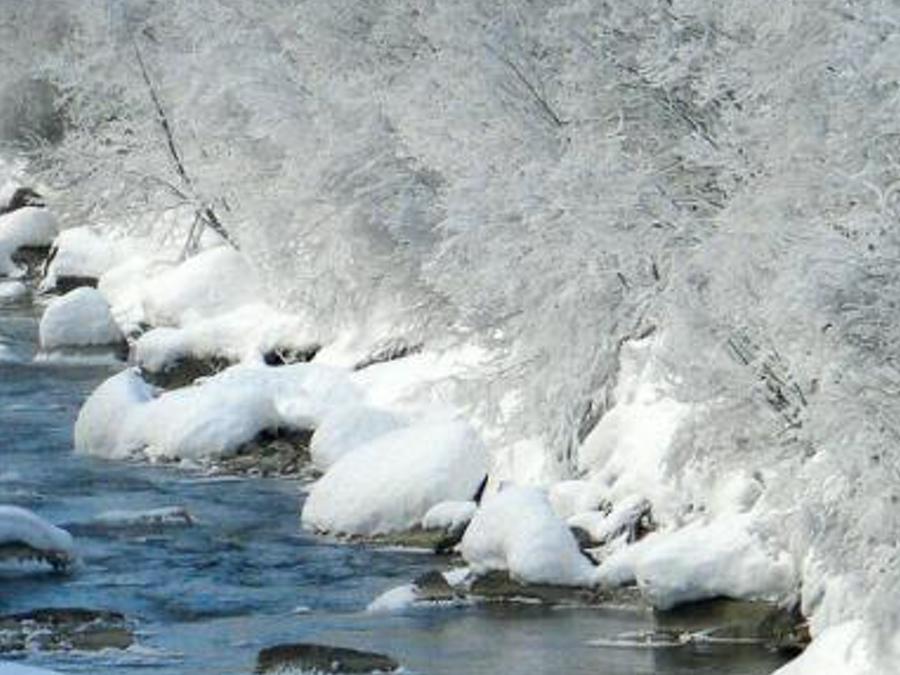 andadeora's profile banner image