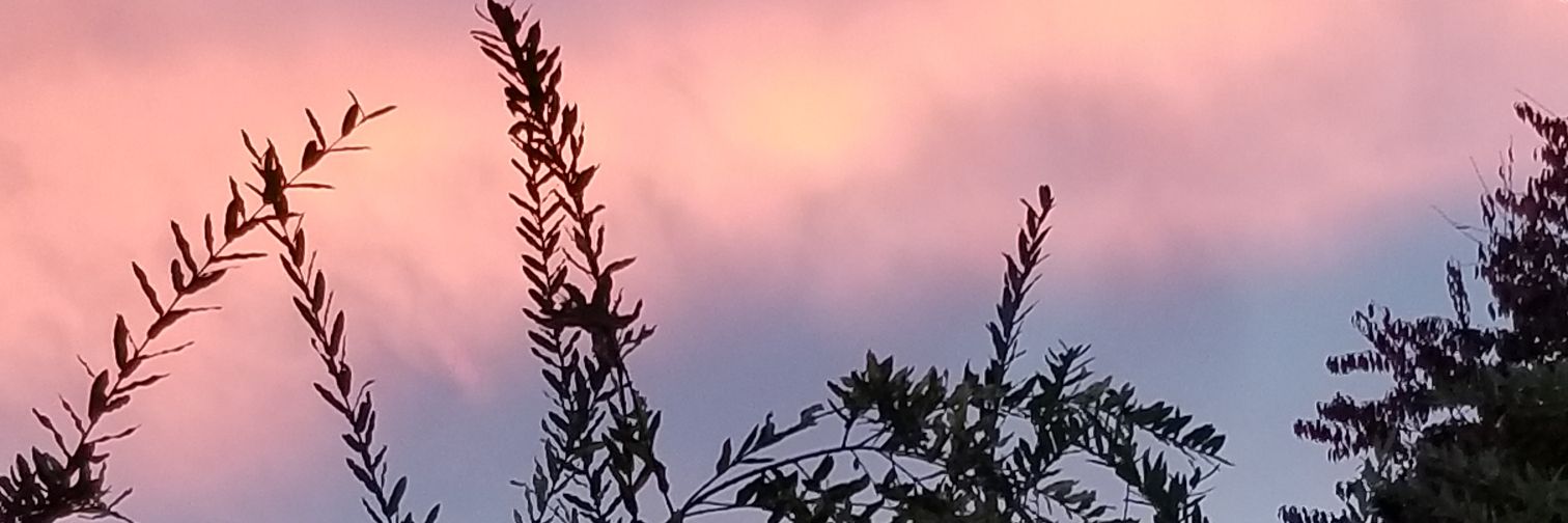 abbewaldron's profile banner image