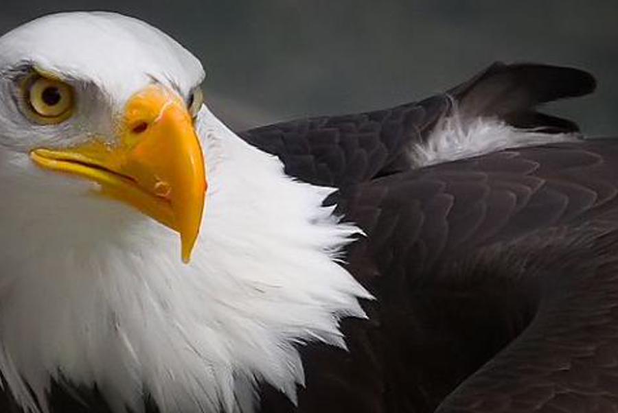 henogyc's profile banner image