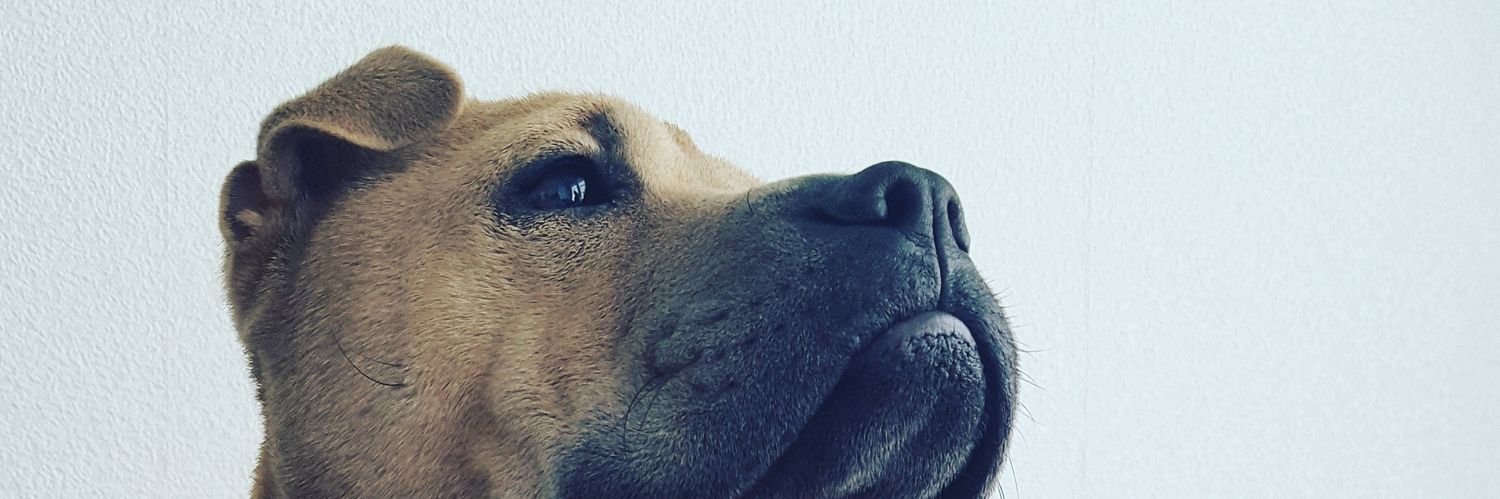 docholliday92's profile banner image