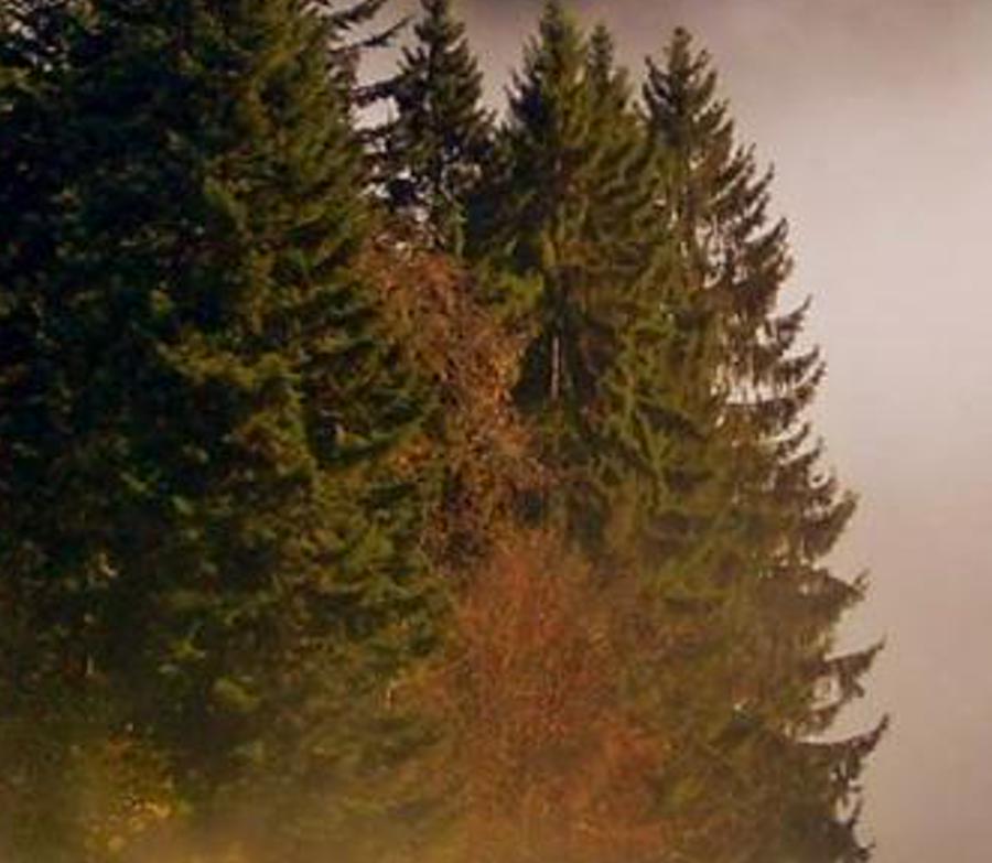 ejersmo's profile banner image