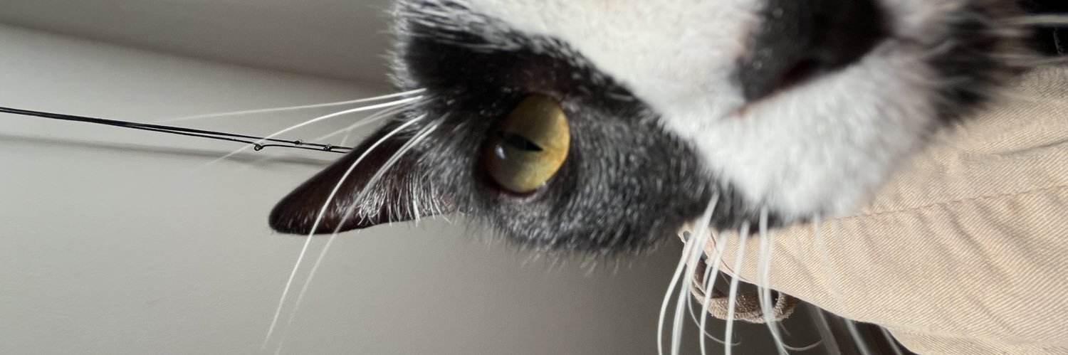 md_OSES's profile banner image