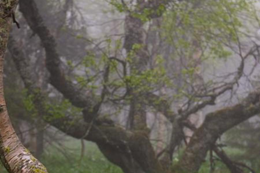 rmeaintis's profile banner image