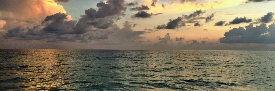 Devon Drambour banner