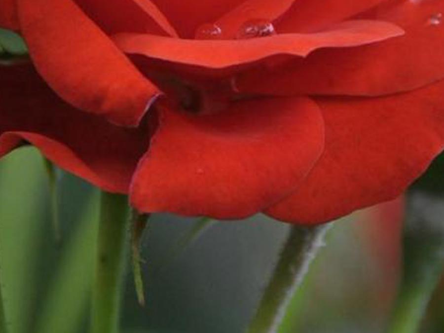 poplypar's profile banner image