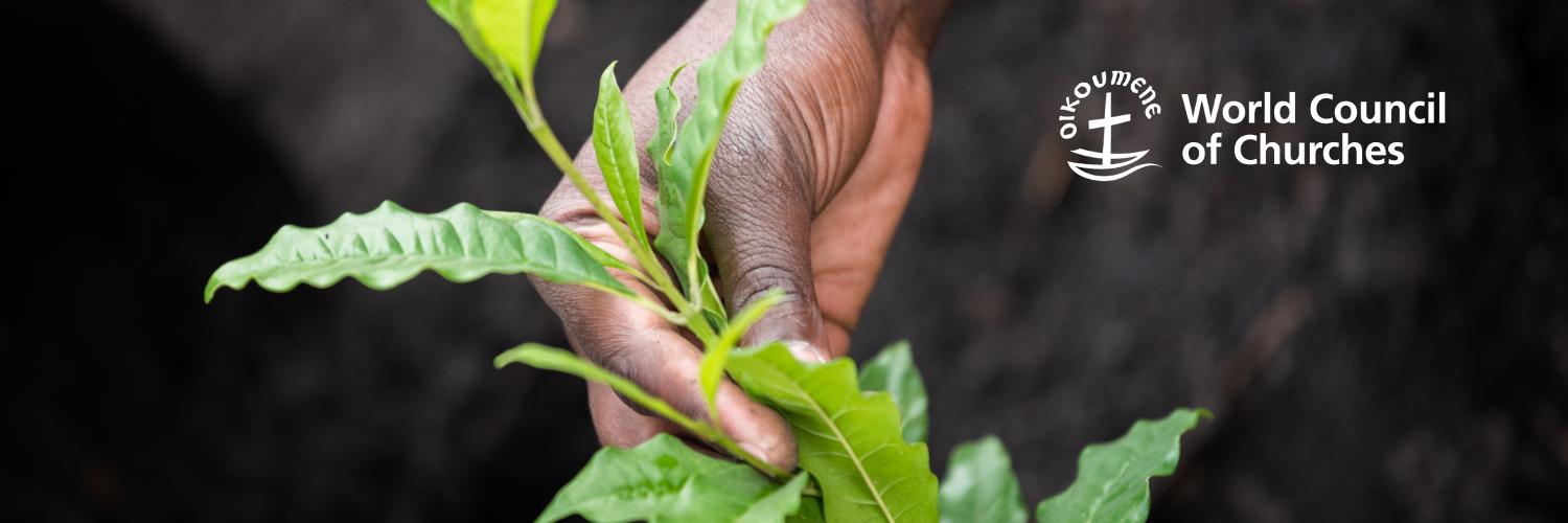 WCC Care for Creation (World Council of Churches) banner