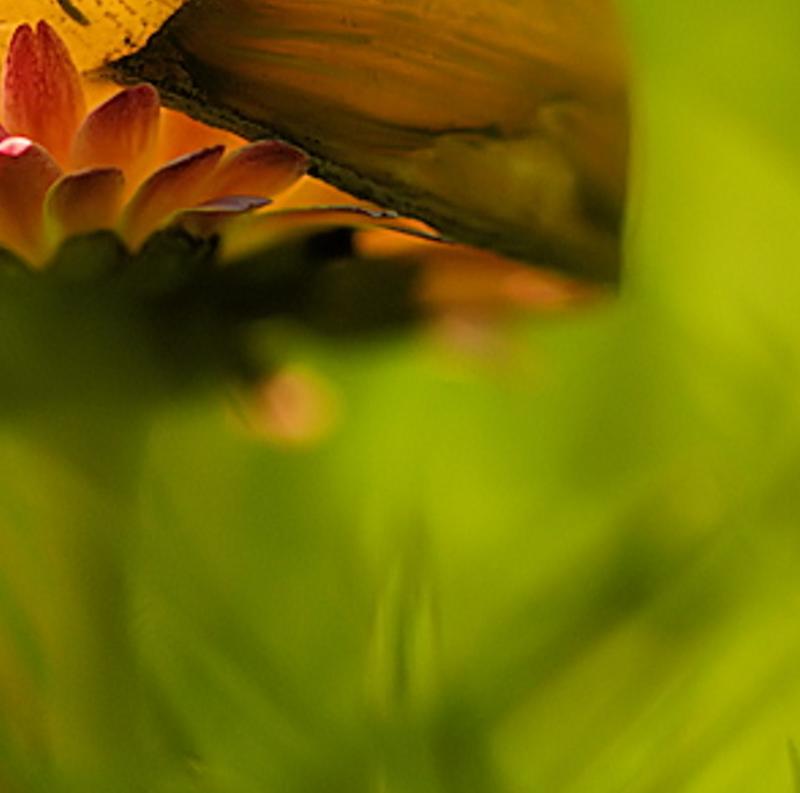 resmera's profile banner image