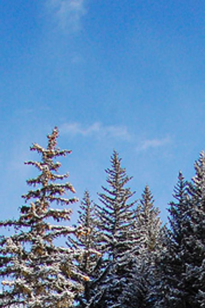 spatincerickv's profile banner image