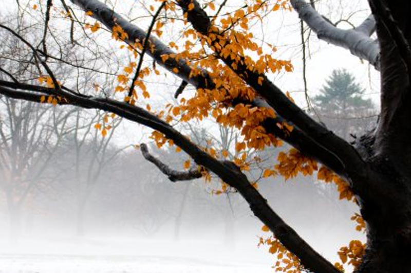 owherb's profile banner image