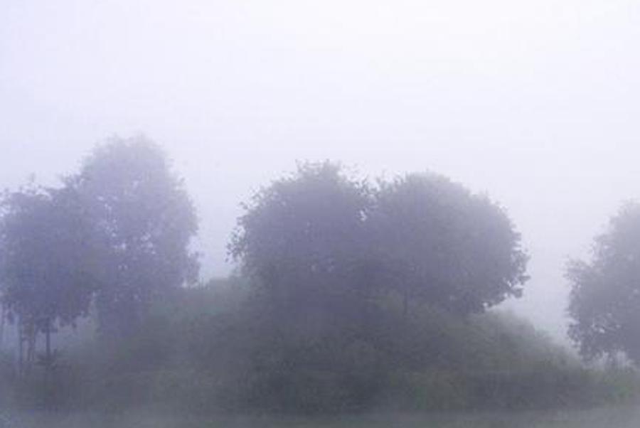 ricuvic's profile banner image