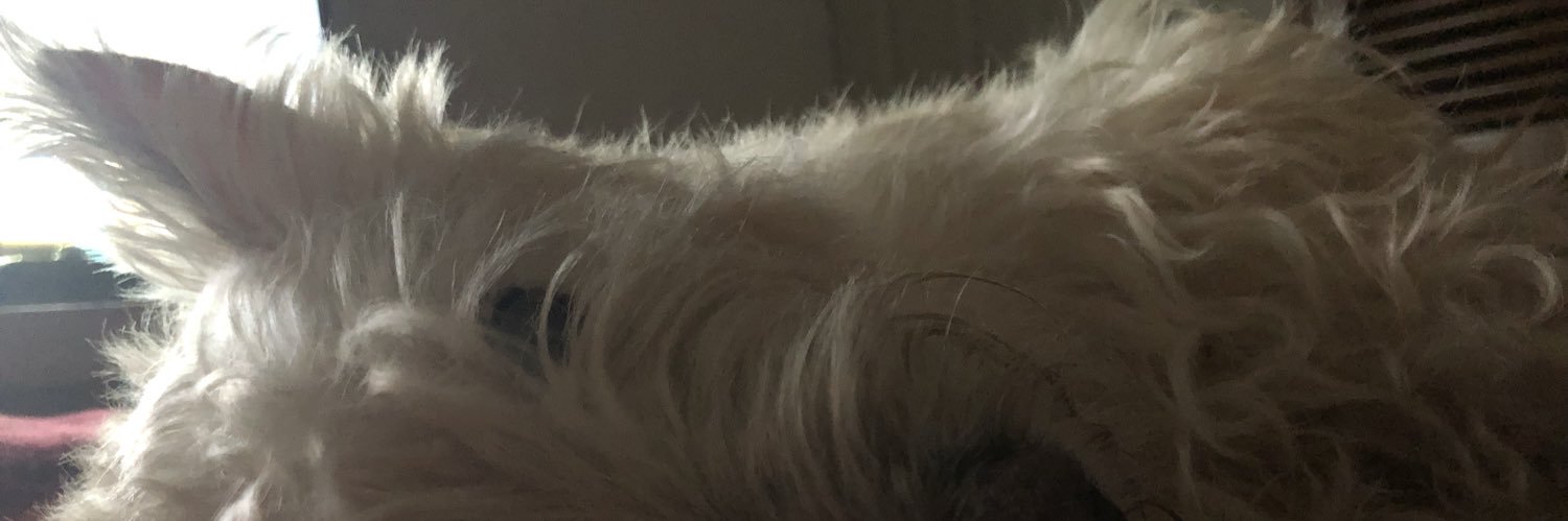 FridaVm_7's profile banner image